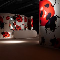Workshop avanzato in Interior e Visual Design