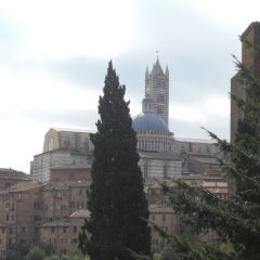 Study abroad In Italy, Earn university credit and get to know Italy