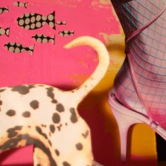 20 years of art, fashion and design