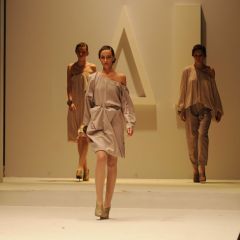 Design & Music, lo show