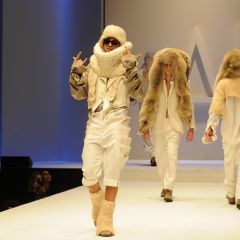 Design & Music, lo show
