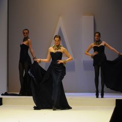 Design & Music, lo show