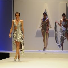Design & Music, lo show