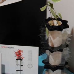 Design & Music, lo show