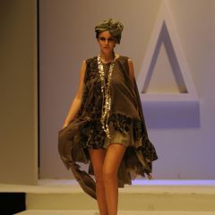 Design & Music, lo show