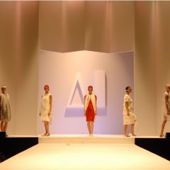 Design & Music, lo show