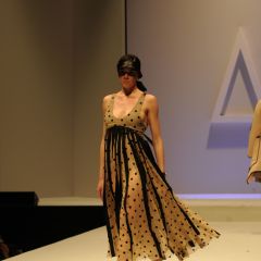 Design & Music, lo show