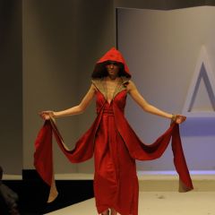 Design & Music, lo show