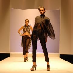 Design & Music, lo show