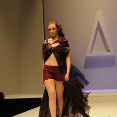 Design & Music, lo show