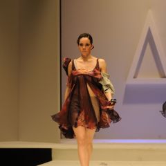 Design & Music, lo show