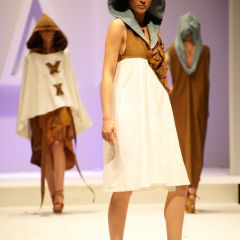 Design & Music, lo show