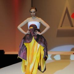 Design & Music, lo show