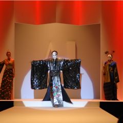 Design & Music, lo show