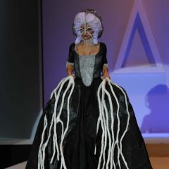 Design & Music, lo show