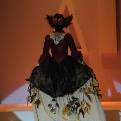 Design & Music, lo show