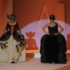 Design & Music, lo show