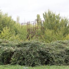 Progetti di Fotografia 2018