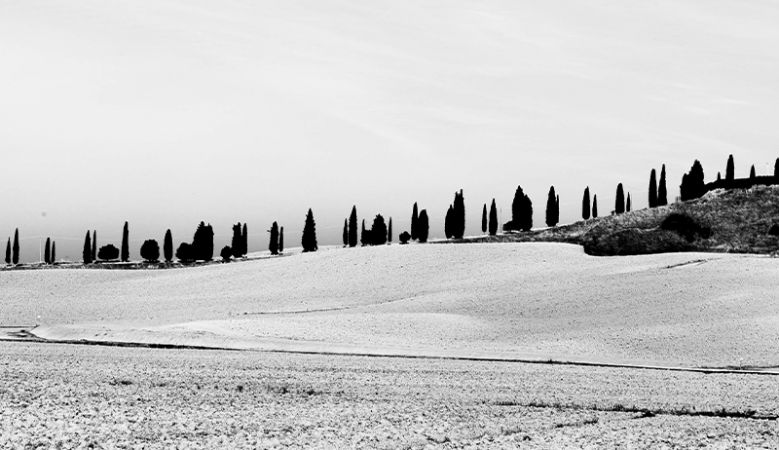Photography courses