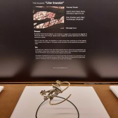 Jewellry on show at the Incinque Jewels Award