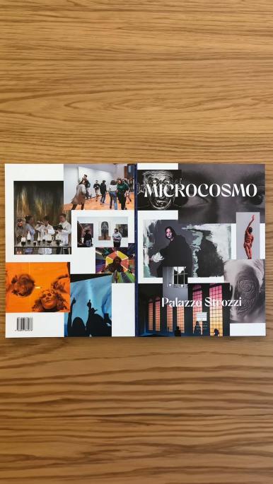 Microcosmo, the magazine of Fondazione Palazzo Strozzi by the students of the academies