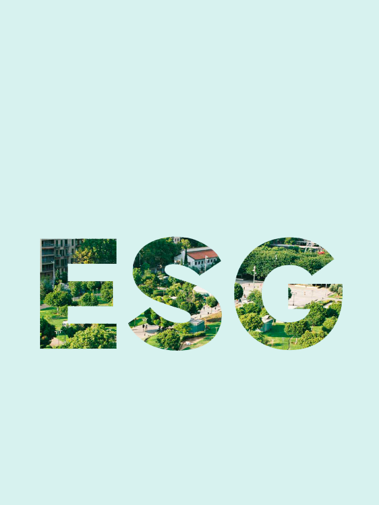 ESG: rules and principles for a sustainable transformation