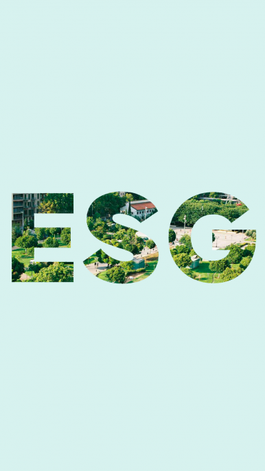 ESG: regole e principi per una trasformazione sostenibile