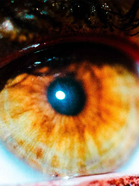 Microcosmo Confession: the new issue curated by the academies