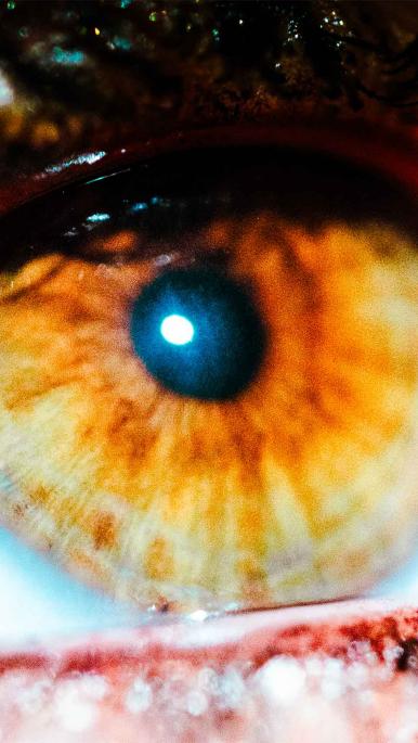 Microcosmo Confession: the new issue curated by the academies